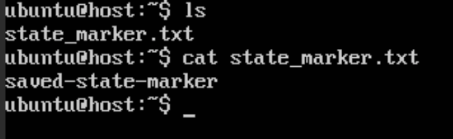 Restored marker file inside the VM