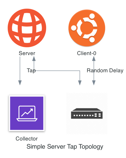 Tapped Topology