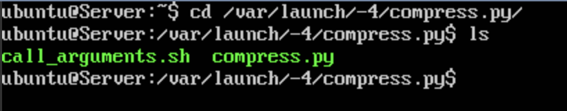 Viewing the ``/var/launch/-4/compress.py/`` directory