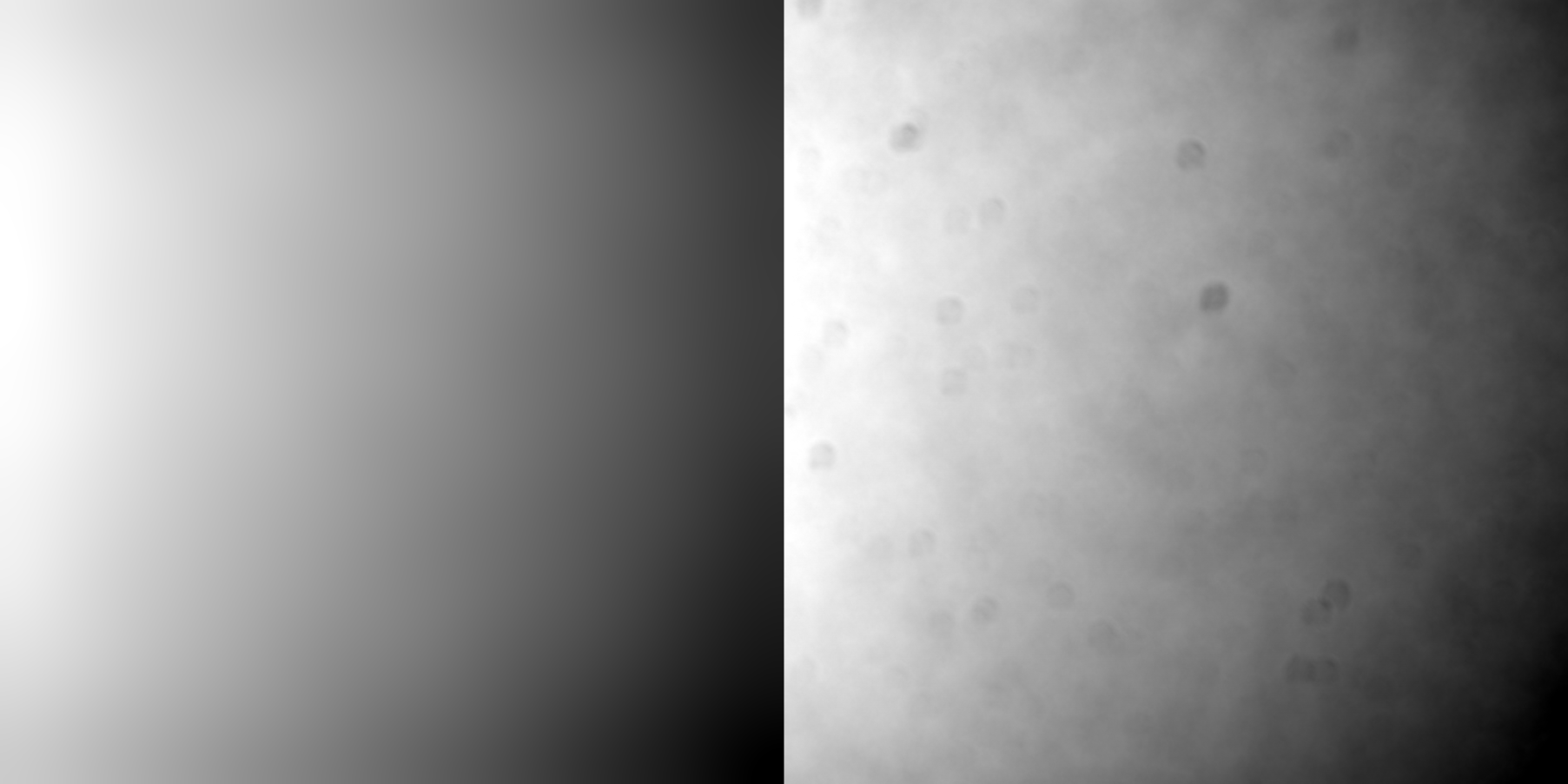 Example shading correction