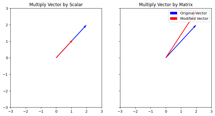<Figure size 1000x500 with 2 Axes>