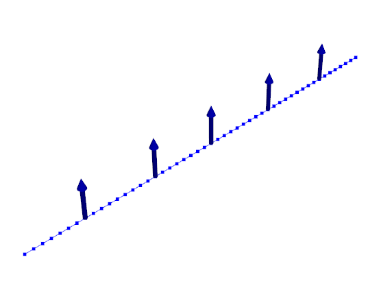 Coordinates in the Optimal Shapes